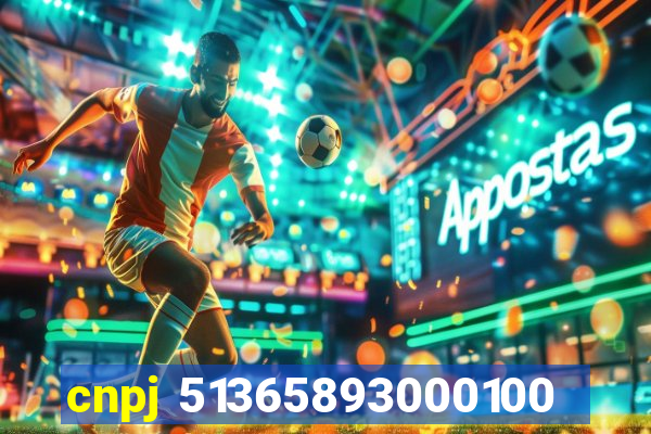 cnpj 51365893000100